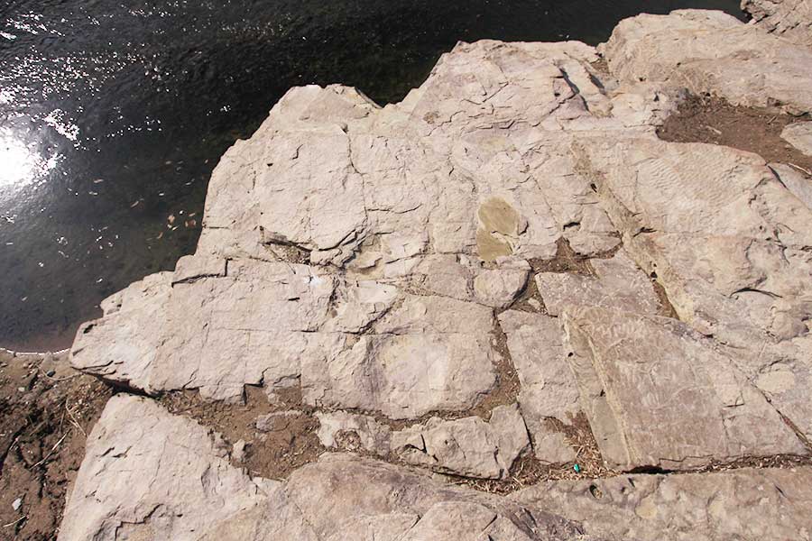 Dinosaur footprint fossils at Daegok-ri