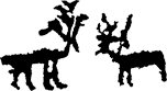 A pair of deer 