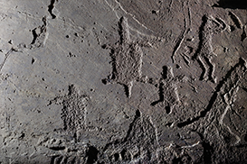 Turtles and Human figure