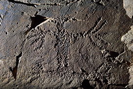 Human figure