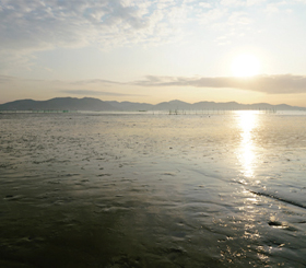 한국의 갯벌(Getbol, Korean Tidal Flats) 사진