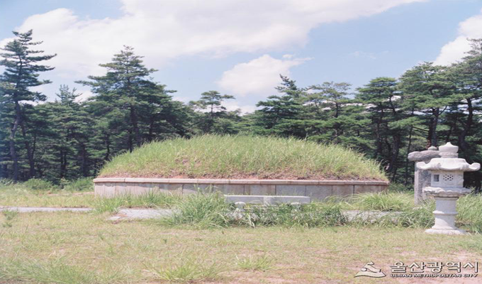 지도맵