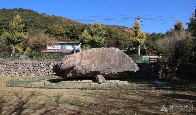 지도맵