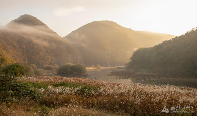 지도맵