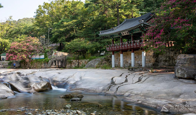 지도맵