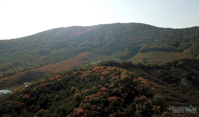 지도맵
