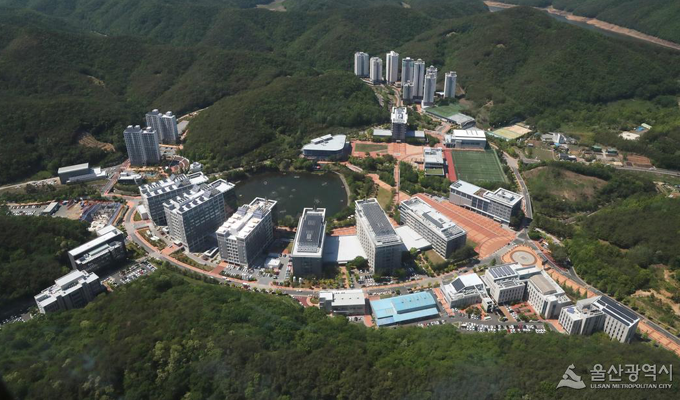 지도맵