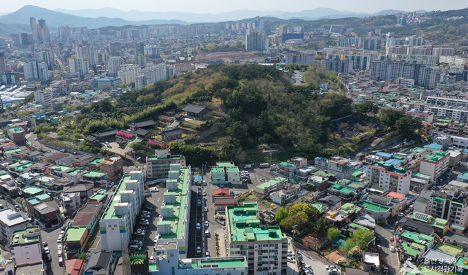 지도맵