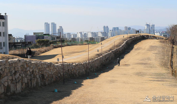 지도맵