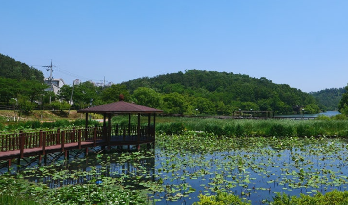 지도맵