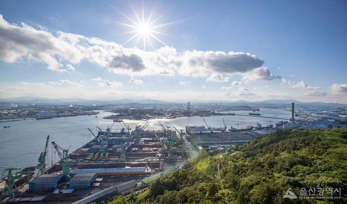 지도맵