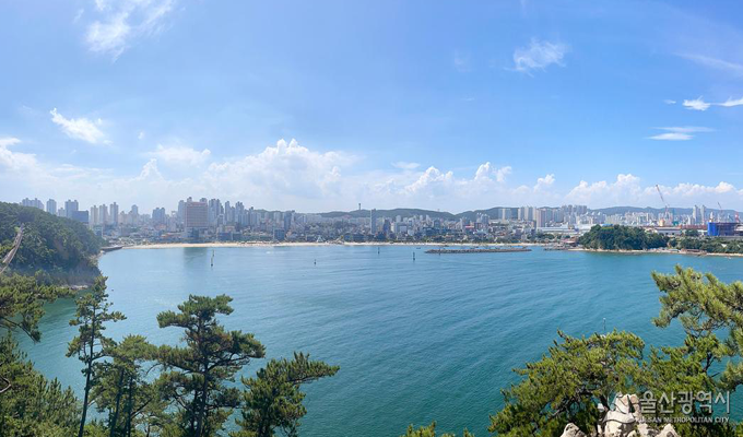 지도맵