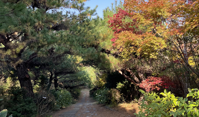 지도맵