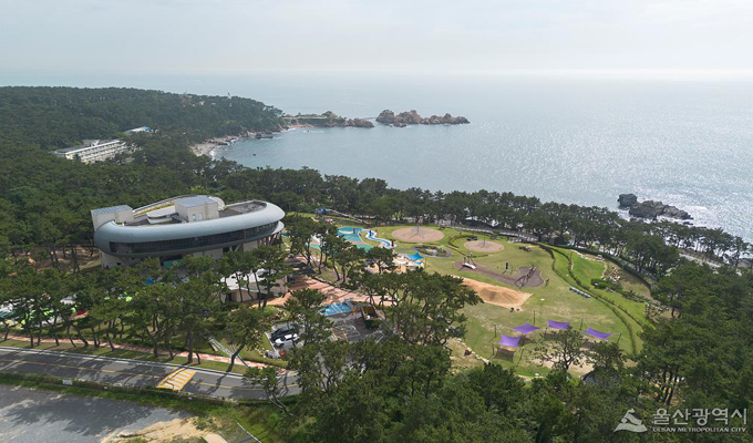 지도맵