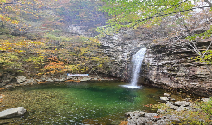 지도맵