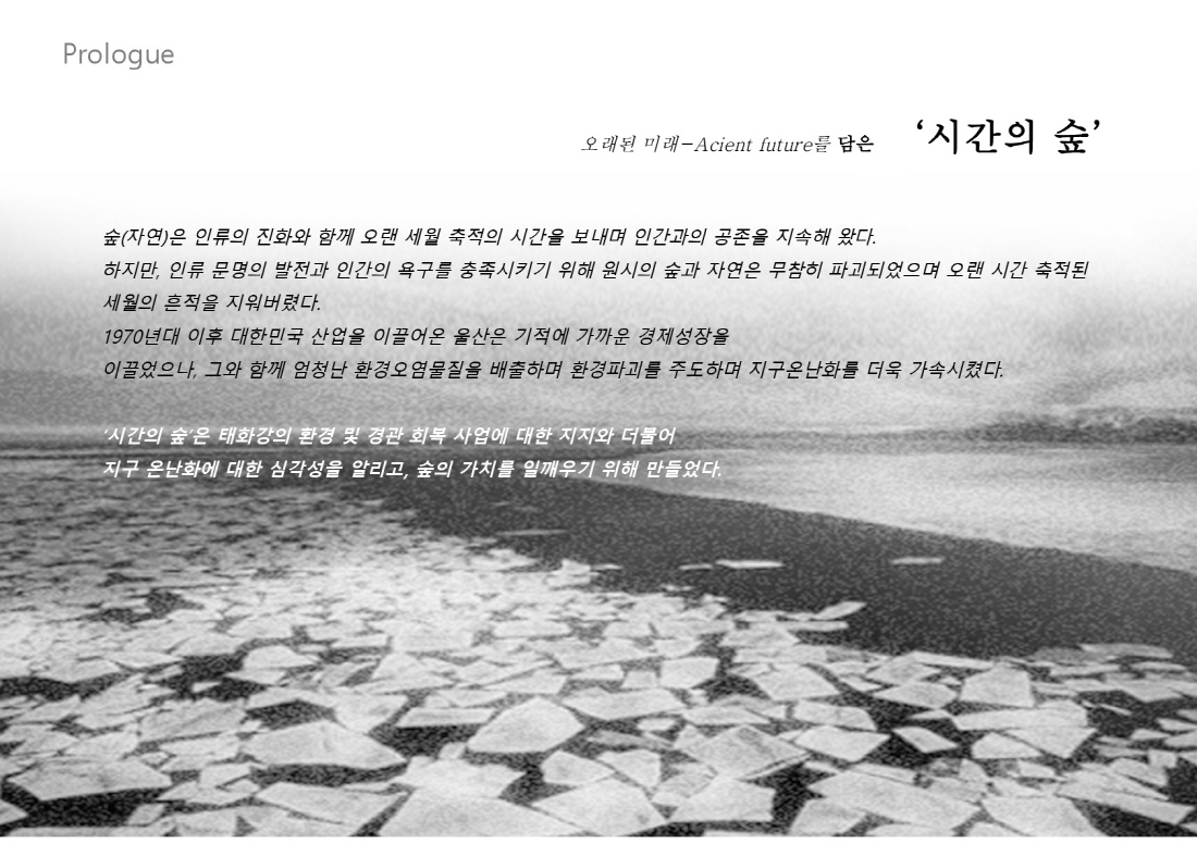 [설계과정] 쇼가든 : 시간의 숲_이상국, 박영우