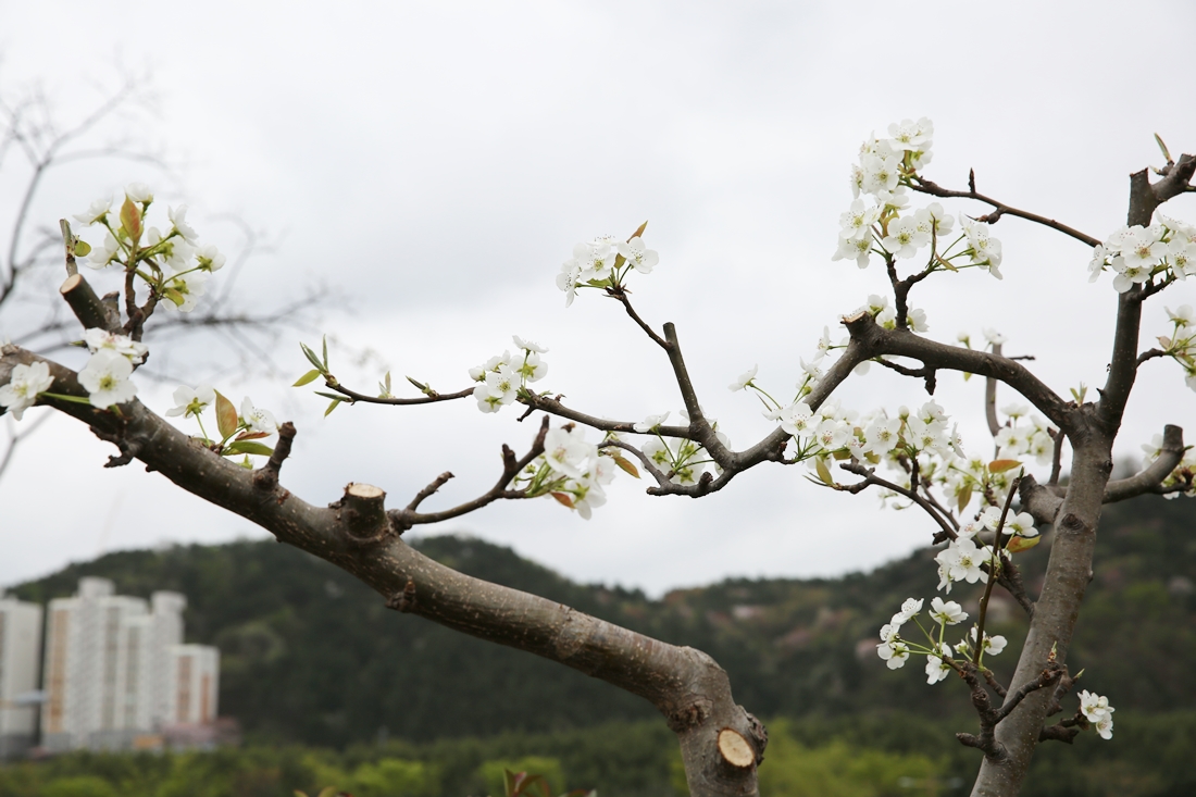 [조성과정] 20180406 메시지가든 : 태화 울산에 흐르다_안준영, 이다은