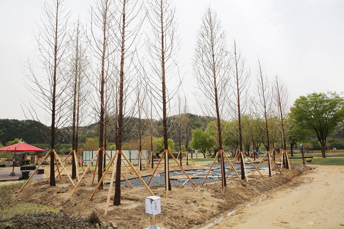 [조성과정] 20180406 쇼가든 : 시간의 숲_이상국, 박영우