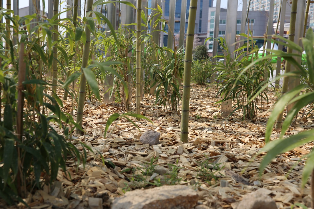 [조성과정] 20180409 쇼가든 : 대나무의 시간_김상윤, 박지호