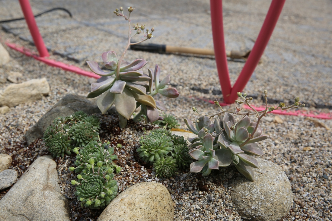 [조성과정] 20180410 메시지가든 : 여정의끝 새로운 시작_정홍가, 최남