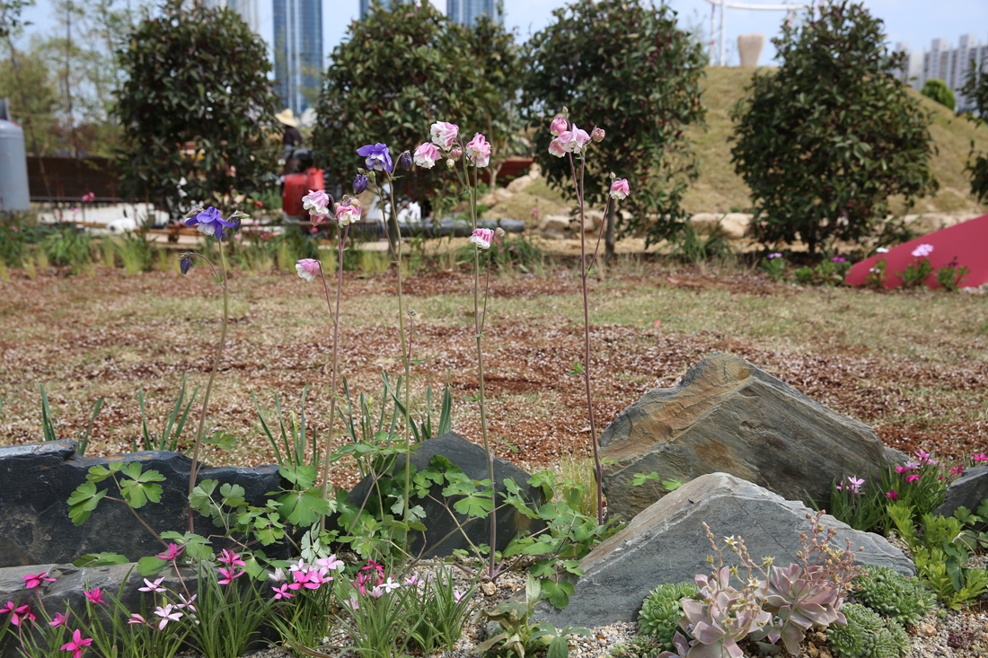 [조성과정] 20180410 메시지가든 : 여정의끝 새로운 시작_정홍가, 최남