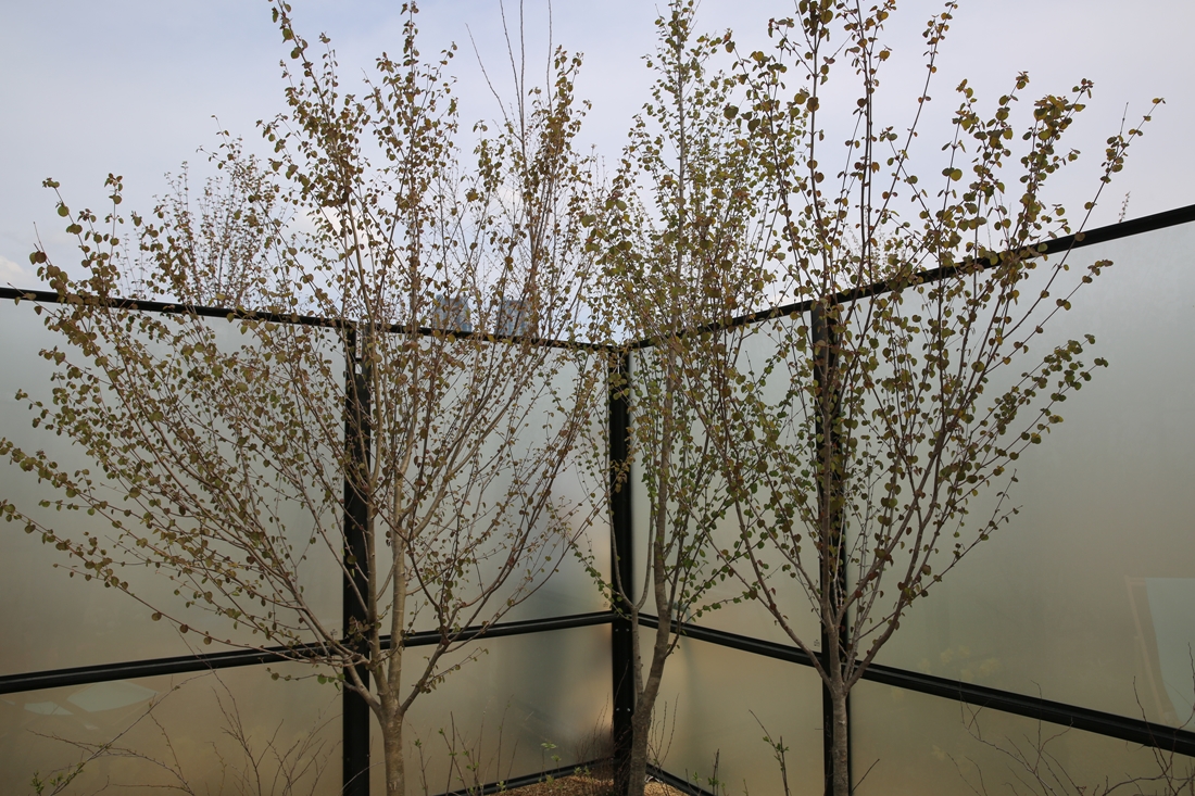 [조성과정] 20180410 메시지가든 : 낭만정원_반형진, 정주영