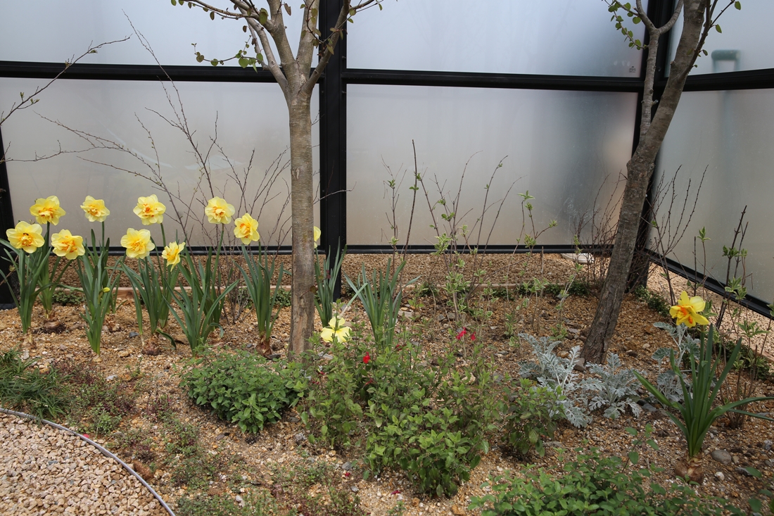 [조성과정] 20180410 메시지가든 : 낭만정원_반형진, 정주영