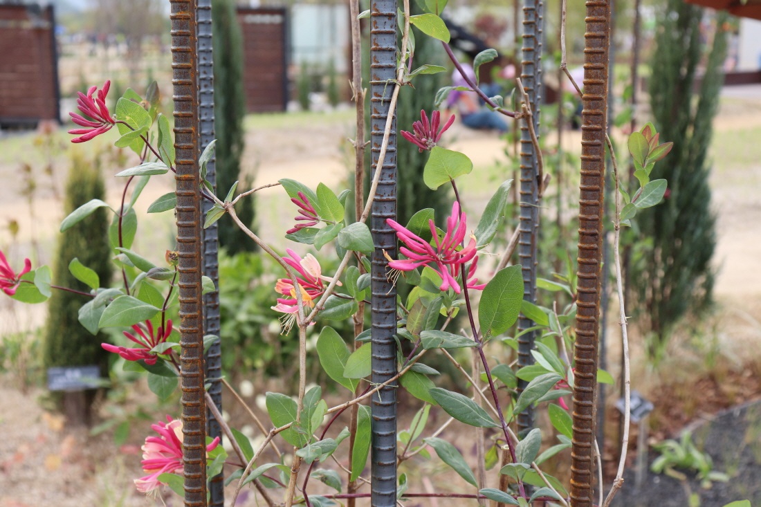 [최종완성] 메시지가든 : 둥지_상민정