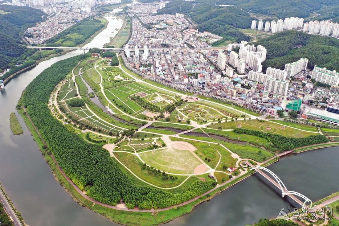태화강국가정원 주변시가지