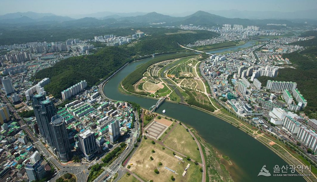 태화강국가정원 주변시가지
