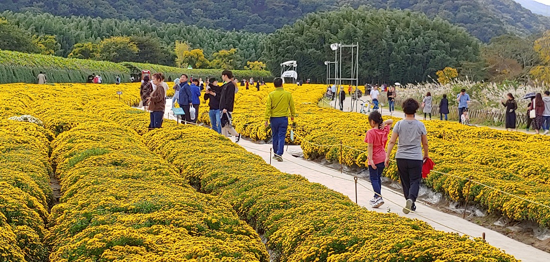태화강 국가정원 지정 선포행사를 찾은 관람객들