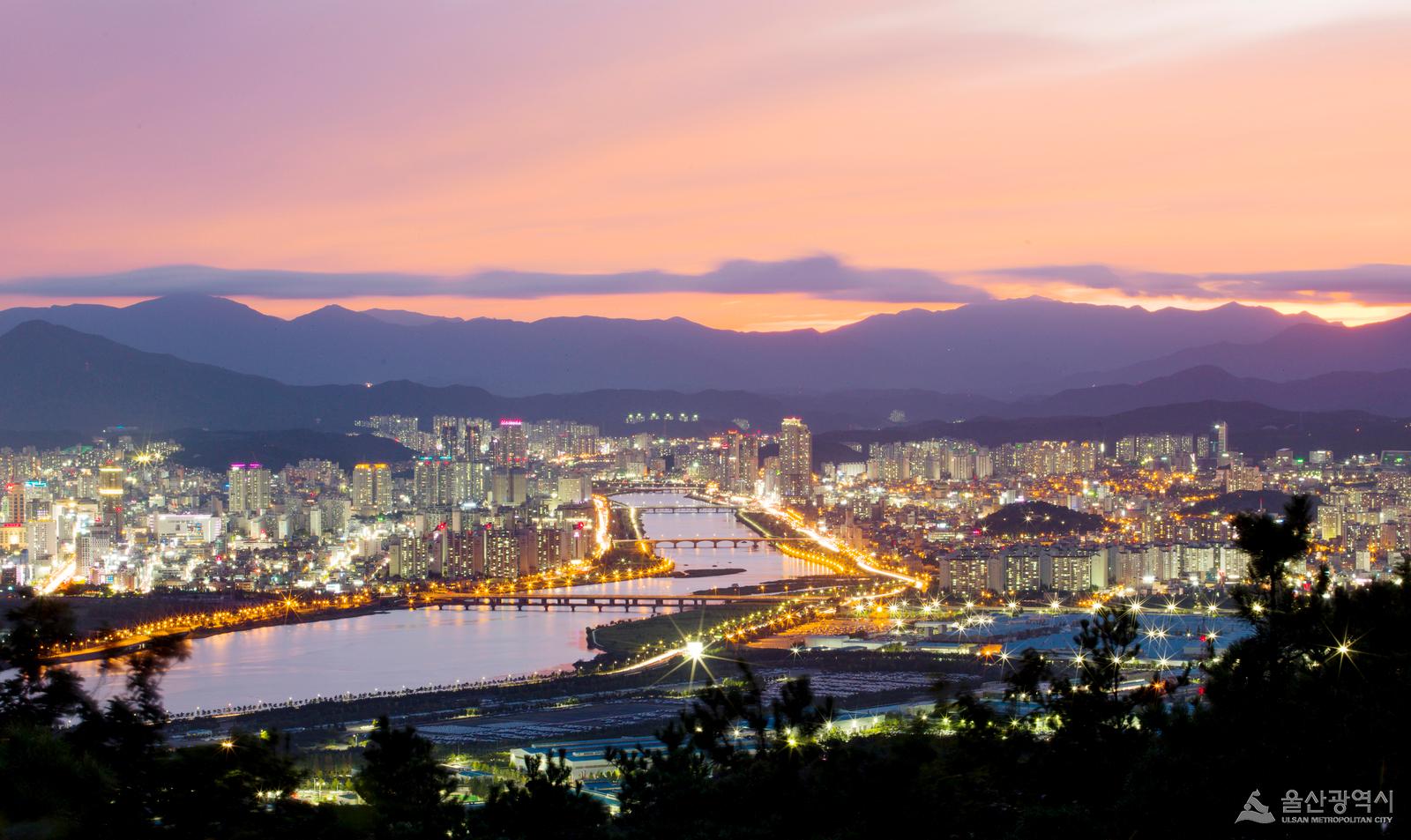 태화강과 울산도시 야경 사진