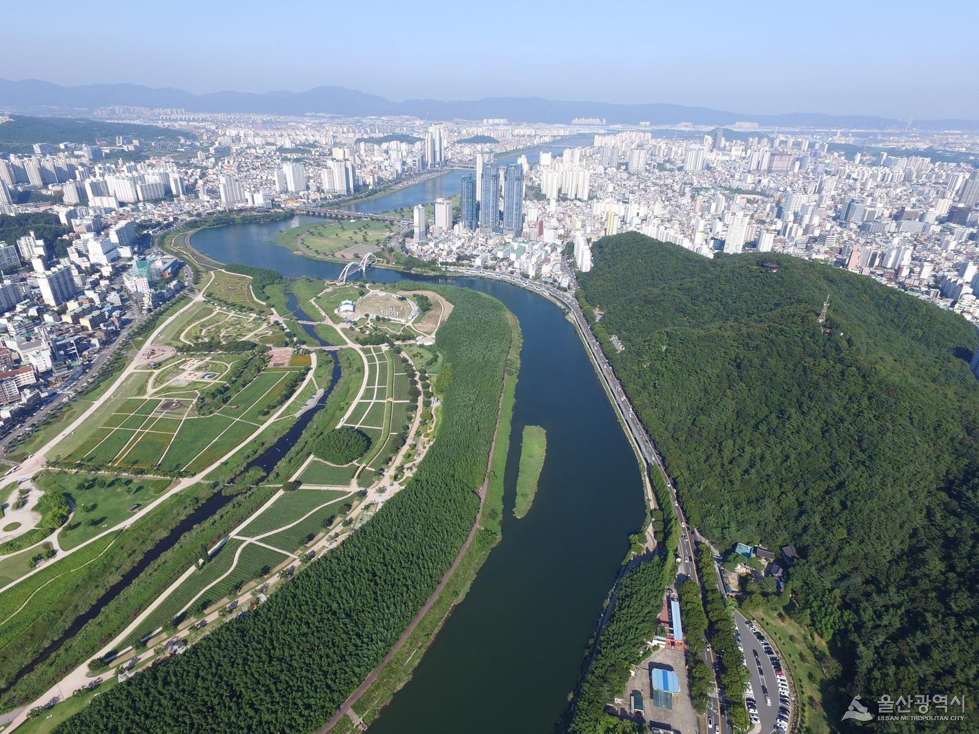 태화강과 울산도시 전경 사진