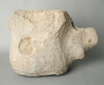 골촉박힌 고래뼈-황성동 유적 출토(유형문화재) 이미지