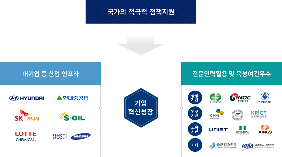 국가의 적극정 정책지원