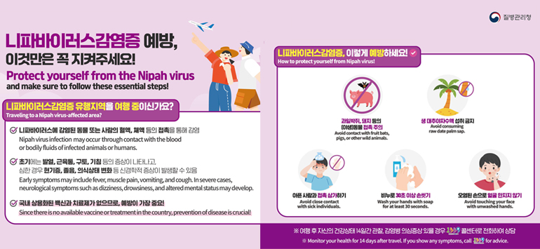 질병관리청
니파바이러스 감염증 예방,
이것만은 곡 지켜주세요!
Protect yourself form the Nipah virus
and make sure to flollow these essential steps!

니파바이러스감염증 유행지역을 여행 중이신가요?
Traveling to a Nipah virus-affected area?
> 니파바이러스에 감염된 동물 또는 사람의 혈액, 체액 등의 접촉을 통해 감염
Nipah virus infection may occur through contact with the blood or bodyily fluids of infected animals or humans.
> 초기에는 발열, 근육통, 구토, 기침 등의 증상이 나타나고 심한 경우 현기증, 졸음, 의식상태 변화 등 신경학적 증상이 발생할 수 있음
Early symptoms may include fever, muscle pain, vomiting, and cough. In severe cases,
neurological symptoms such as dizzinessm drowsinessm and altered mental status may develop.
> 국내 상용화된 백신과 치료제가 없으므로, 예방이 가장 중요!
Since there is no available vaccine or treatment in the countrym prevention of disease is crucial!

니파바이러스감염증, 이렇게 예방하세요!
How to protect yourself from Nipah virus!
- 과일박쥐, 돼지 등의 야생동물 접촉 주의
  Avoid contact with fruit bats, pigs, or other wild amimals.
- 생 대추야쟈수액 섭취 금지
  Avoid consuming raw date palm sap.
- 아픈 사람과 접촉 삼가하기
  Avoid close contact with sick individuals.
- 비누로 30초 이상 손씻기
  Wash your hands with soap for at least 30 seconds.
- 오염된 손으로 얼굴 만지지 않기
  Avoid touching your foace with unwashed hands.

※ 여행 후 자신의 건강상태 14일간 관찰, 감염병 의심증상 있을 경우 1339 콜센터로 전화하여 상담
※ Monitor your health for 14 days after travel. If you show any symptoms, call 1339 for advice.