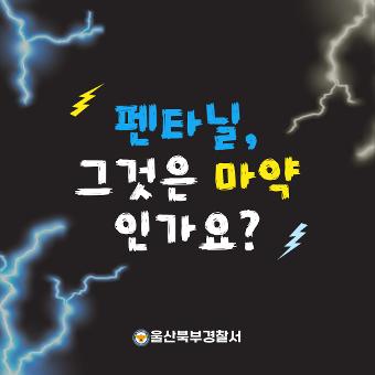 펜타닐, 그것은 마약 인가요? 울산북부경찰서