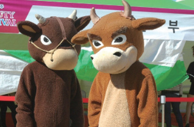 Eonyang / Bonggye Bulgogi Festival
