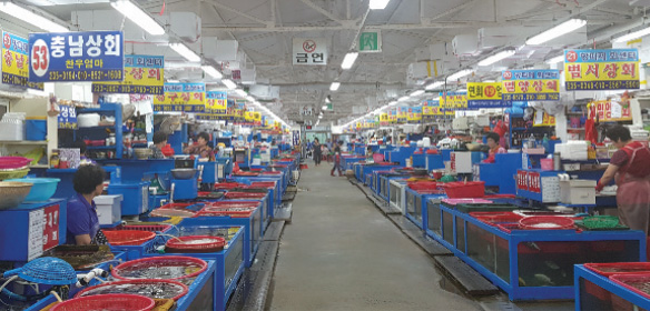 Bangeojin Port Raw Fish Street