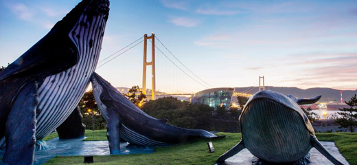 Whale Culture Village