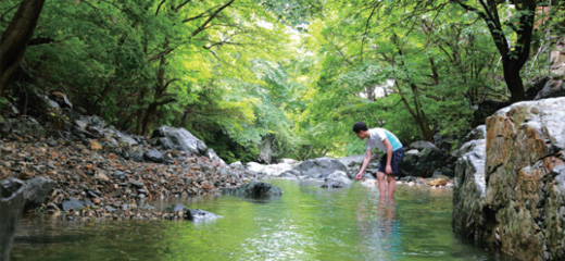 Baenaegol Valley