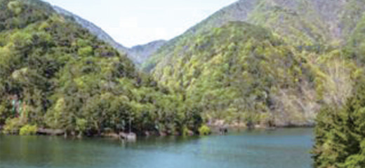 Songjeong Park Sangjin Lake Park