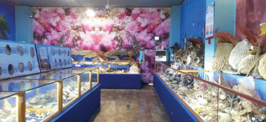 Ulsan Maritime Museum