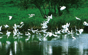 Taehwagang National Garden