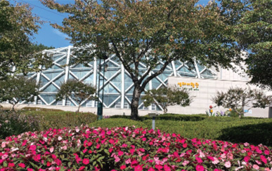Eco Travel Hall