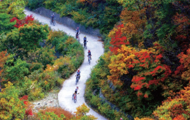 Yeongnam Alps Complex Welcome Center