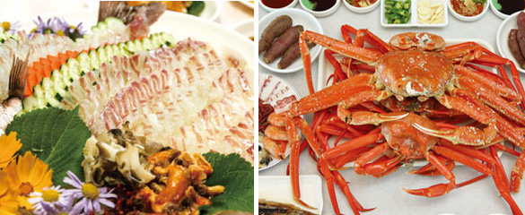 Sliced Raw Fish and Snow Crab