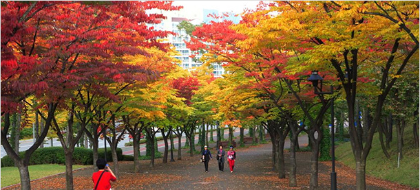 계절여행