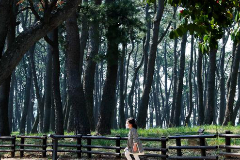 대왕암공원 산책로