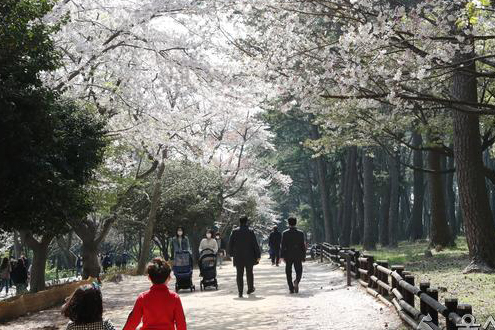 대왕암공원 산책로